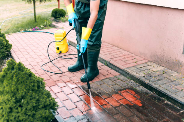 Best Driveway Cleaning and Restoration in Saukville, WI